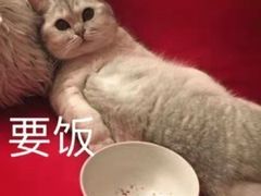 -虾小龙老长沙龙虾馆(坡子街店)