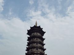 -洋湖国家湿地公园