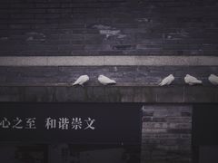 -孙武文化园-停车场