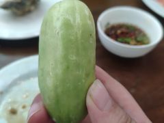 -红星渔村(将军石店)