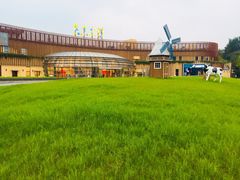 -爱丽丝冒险奇遇记