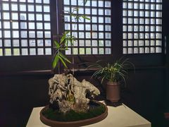 -红梅公园