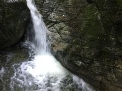 -牛背梁国家森林公园