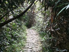 -水濂山森林公园