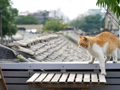 -前叁門