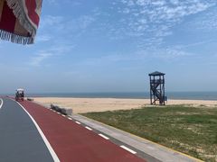 -日照海滨国家森林公园