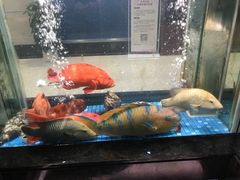 -海都六福酒家(世博广场店)