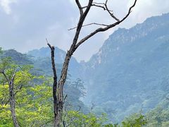 -泰山风景名胜区