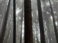 -太阳湾风景区