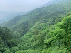 -缙云山景区