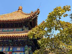 -北京国子监胡同