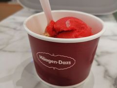 -哈根达斯(武汉天地店)