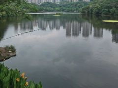 -重庆彩云湖湿地公园