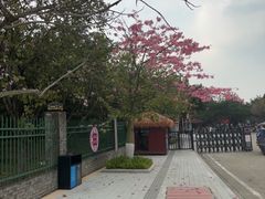-南沙天后宫景区