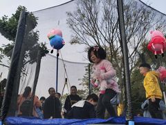 -两河城市森林公园