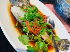老虎斑-行家海鲜火锅酒家(静安寺店)