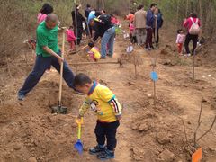 -红黄蓝成长中心(公益西桥校区)