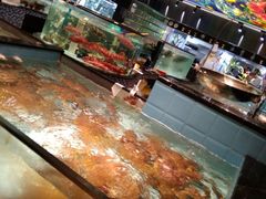 -尚海豆捞(乐虹坊店)