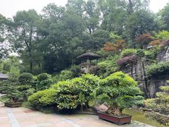 -南山植物园