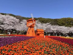 -苏州上方山国家森林公园
