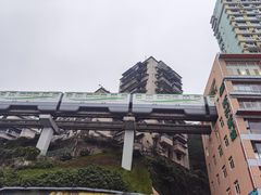 -黄家码头老火锅(解放碑旗舰店)