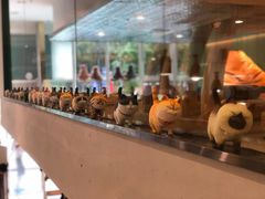 -飞行喵MR PILOT|猫舍·猫咖(静安大融城店)