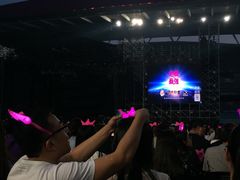 -南京奥林匹克体育中心-体育馆