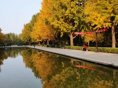 -玲珑塔公园