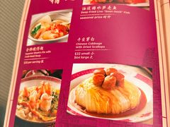 -詠春园