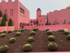 -漳州滨海火山岛自然生态风景区