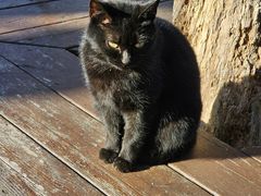 -萍乡武功山风景名胜区