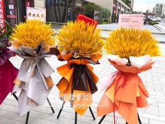 -田园花舍花店(北城未来实体店)