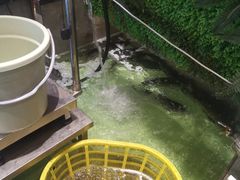 -门家大院铁锅炖(东北大马路店)