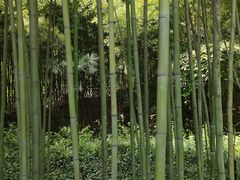 -绍兴东湖风景区