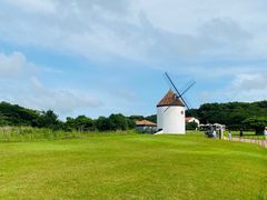 -济州森林小火车生态公园