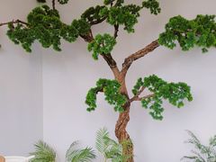 -苏小柳手作点心(控江旭辉分院)
