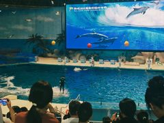 -泉城欧乐堡海洋极地世界