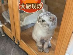 -艺味深尝(云锦路店)