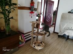 -佑安动物医院·全科·内窥镜中心(幸福巷店)