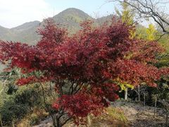 -丹山赤水风景名胜区