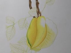 -八哥美术·成人美术画室(总校区)