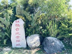 -广东惠东海龟国家级自然保护区