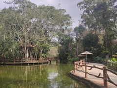 -海南热带野生动植物园
