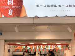 -树夏(建设路店)