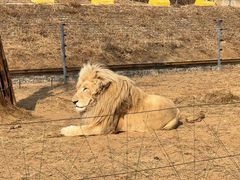 -秦皇岛野生动物园