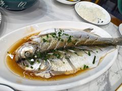 清蒸白鱼-蟹天蟹地农家菜·阳澄湖大闸蟹(浅水湾店)
