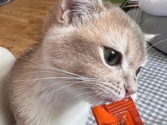 -绿岛汤泉韩式休闲会所