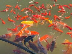 -陶祖圣境风景区