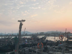 -日照海滨国家森林公园