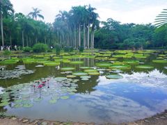 -中国科学院西双版纳热带植物园